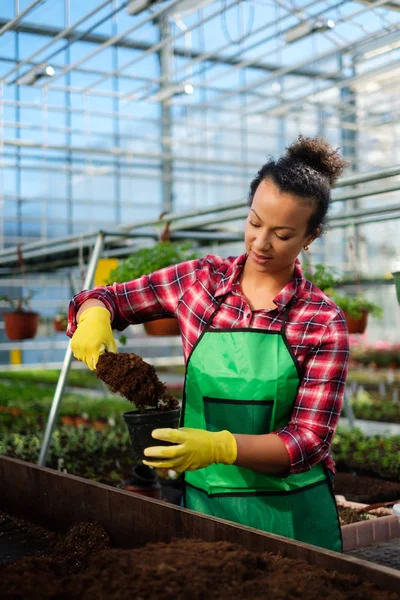 Zwarte vrouw die werkt in een botanische tuin — Stockfoto