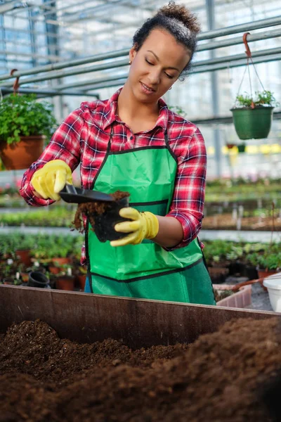 Zwarte vrouw die werkt in een botanische tuin — Stockfoto