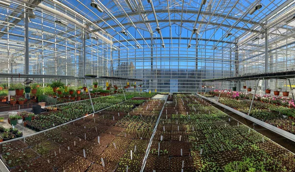 Interrior of a botanical greenhouse. — Stock Photo, Image