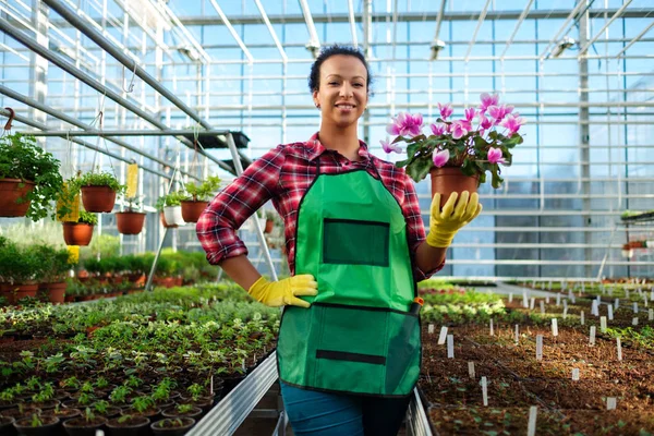 Zwarte vrouw die werkt in een botanische tuin — Stockfoto