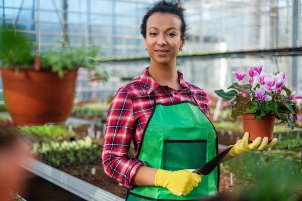 Zwarte vrouw die werkt in een botanische tuin — Stockfoto