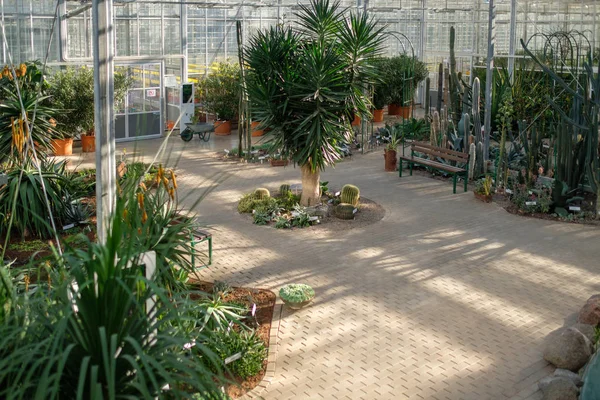Interiér botanický skleník. — Stock fotografie