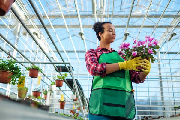 Zwarte vrouw die werkt in een botanische tuin — Stockfoto