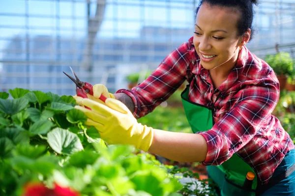 Zwarte vrouw die werkt in een botanische tuin — Stockfoto