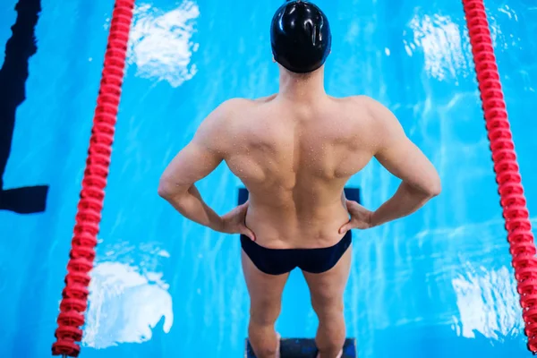 Nadador muscular preparándose para saltar desde el bloque de salida en una piscina —  Fotos de Stock