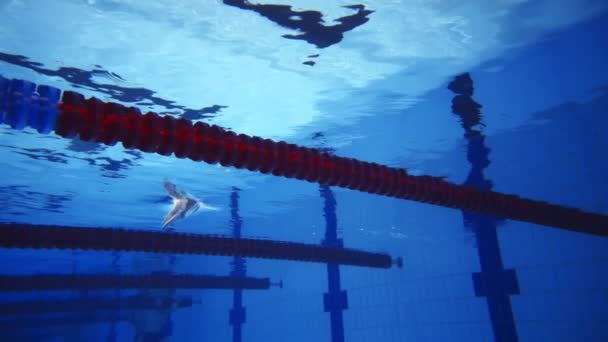 Hombre musculoso bajo el agua en una piscina en cámara súper lenta — Vídeos de Stock