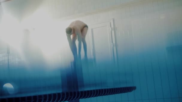 Muskulöser Schwimmer springt aus dem Startblock im Schwimmbad — Stockvideo