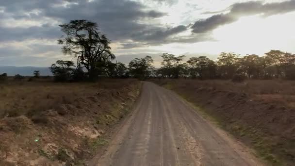 Conducir paisaje de sabana africana en la Reserva Nacional Maasai Mara — Vídeos de Stock