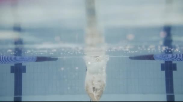 Svalnatý muž pod vodou v bazénu — Stock video