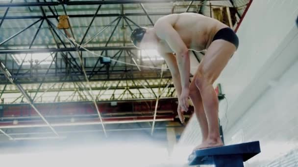 Мышечный пловец, прыгающий со стартового блока в бассейне — стоковое видео
