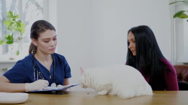 पशुवैद्यकीय क्लिनिकमध्ये पशुवैद्यकीय सर्जन आणि मांजर मालक — स्टॉक व्हिडिओ