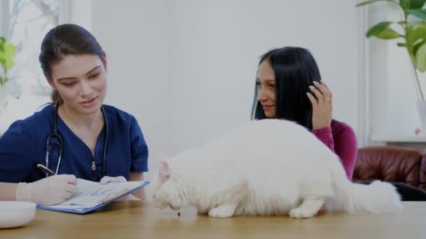 Tierarzt und Katzenbesitzer in Tierklinik — Stockvideo