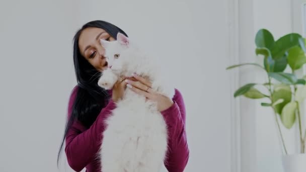 Femme jouant avec son chat blanc — Video