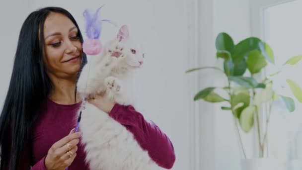 Mujer jugando con su gato blanco — Vídeos de Stock