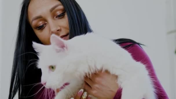 Mujer jugando con su gato blanco — Vídeos de Stock