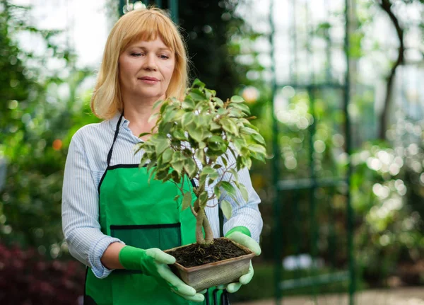 Mulher madura trabalhando em um jardim botânico — Fotografia de Stock