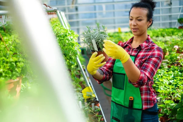 Zwarte vrouw die werkt in een botanische tuin — Stockfoto