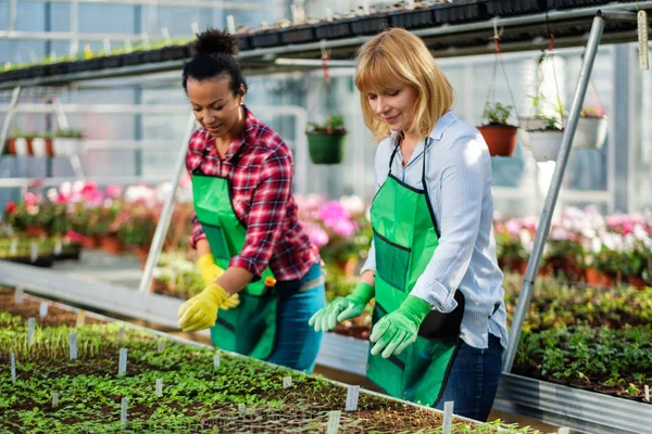 Twee vrouwen die werkzaam zijn in een botanische tuin — Stockfoto