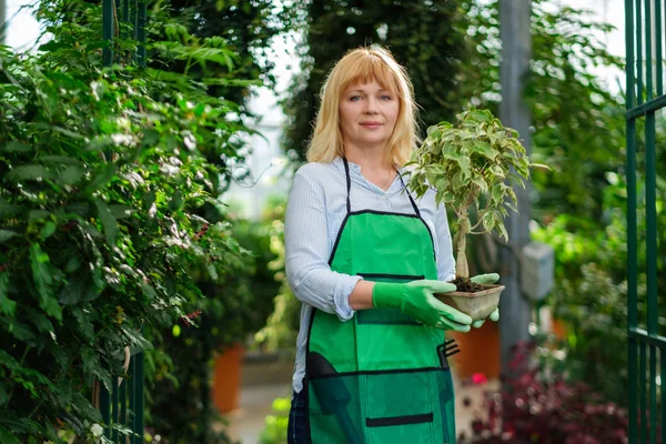 Rijpe vrouw die werkt in een botanische tuin — Stockfoto