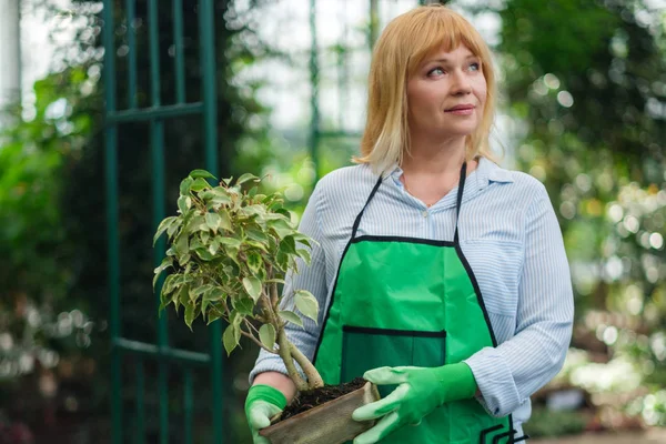 Rijpe vrouw die werkt in een botanische tuin — Stockfoto