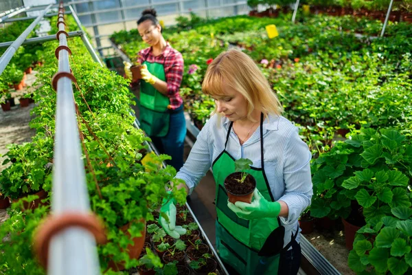 Dvě ženy, které pracují v botanické zahradě — Stock fotografie