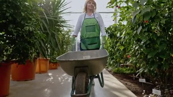 Donna matura con carriola in un giardino botanico — Video Stock