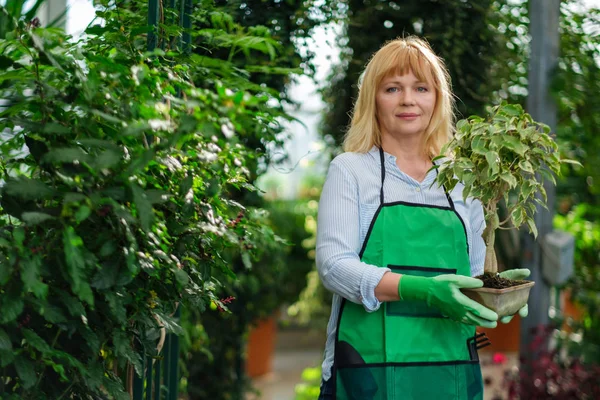 Femme mûre travaillant dans un jardin botanique — Photo