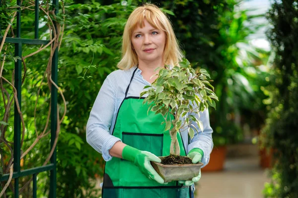Érett nő dolgozik a botanikus kertben — Stock Fotó