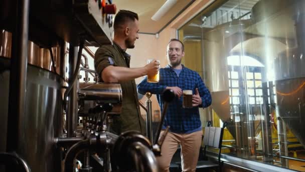 Dos hombres degustando cerveza fresca en una cervecería — Vídeos de Stock