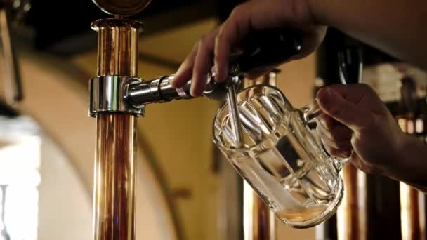 Birra artigianale versata in un bicchiere — Video Stock