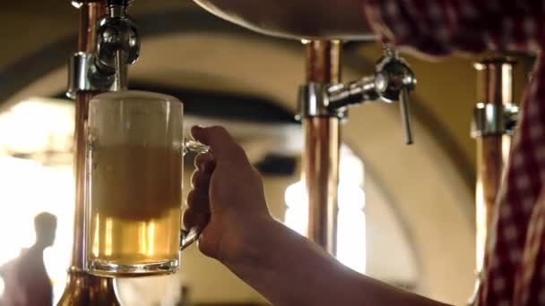 Zanaat taslak bira bir bardağa dökülür — Stok video