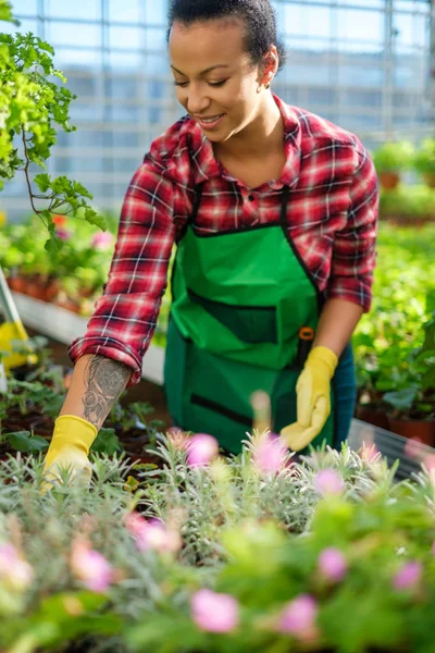Czarna kobieta, praca w ogrodzie botanicznym — Zdjęcie stockowe