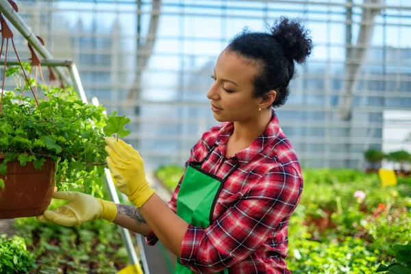 Zwarte vrouw die werkt in een botanische tuin — Stockfoto