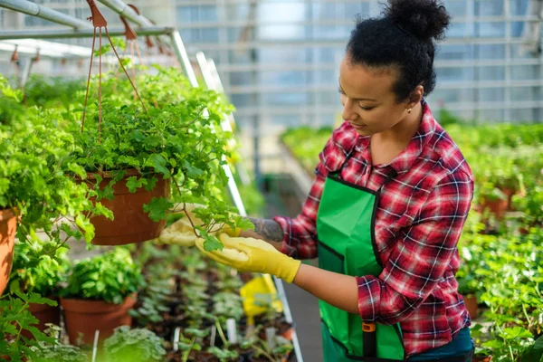 Zwarte vrouw die werkt in een botanische tuin — Stockfoto