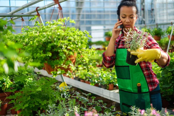 Zwarte vrouw die werkt in een botanische tuin — Stockfoto