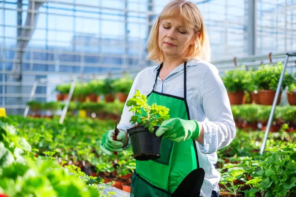 Rijpe vrouw die werkt in een botanische tuin — Stockfoto