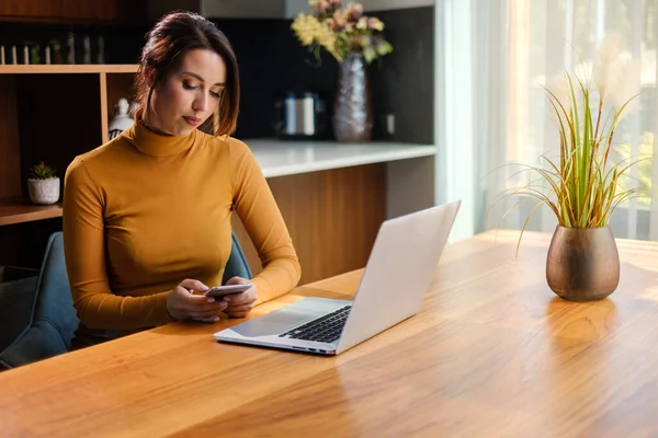 Mujer Con Portátil Casa —  Fotos de Stock