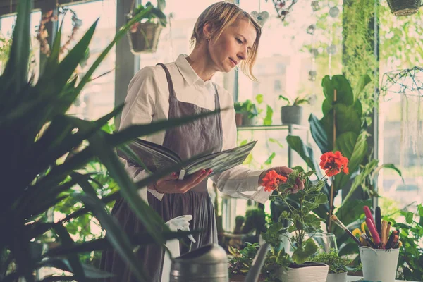 Elegante Bloemist Studies Informatie over Nieuwe Bloem. — Stockfoto