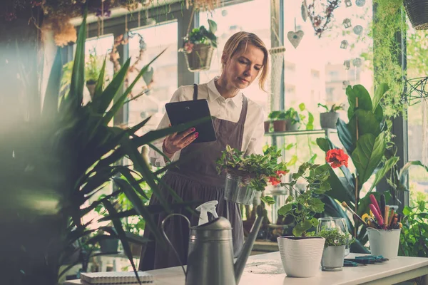 Bloemist vrouw gericht op het controleren van nieuwe plant. — Stockfoto