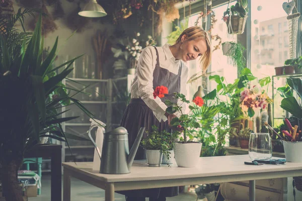 Positieve kas werknemer snijdt droge bloem bladeren. — Stockfoto