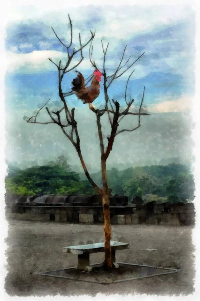 Horoz Kurak Bir Ağaçta Şafakla Tanışır Suluboya Resim Yapar — Stok fotoğraf