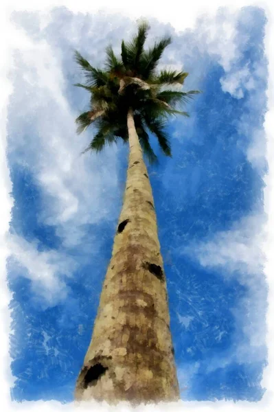 Alsó Nézet Tetején Egy Pálmafa Ellen Kék Akvarell Rajz — Stock Fotó