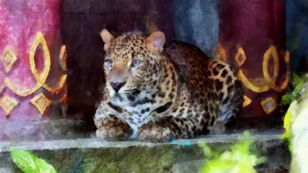 Cheetah Sits Quietly Watches Its Prey Watercolor Drawing — Stock Photo, Image