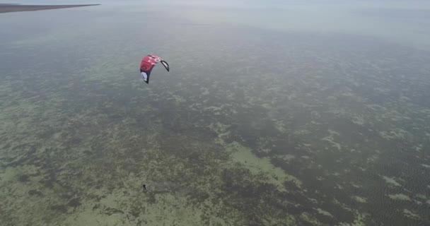 바다에 세일링 높이에서 위에서 경치입니다 카이트 섬에에 Kitesurfing의 — 비디오