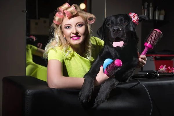 The groomer makes a haircut for the dog and his hair curlers