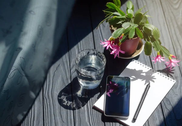 Detail obrazu smartphone, Poznámkový blok s tužkou, sklenici vody a hrnce s květinami na pracovišti. — Stock fotografie