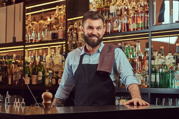 Stylish bearded bartender in a shirt and apron standing at bar counter background. — Stock Photo, Image