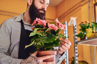 Sakal ve dövme elinde üniforması ile profesyonel erkek çiçekçi bir buket çiçek ile pota çiçekçide tutar..