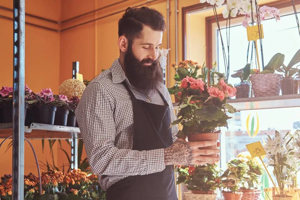 Florista masculino profesional con barba y tatuaje en su mano con uniforme sostiene la olla con un ramo de flores en la tienda de flores . — Foto de Stock