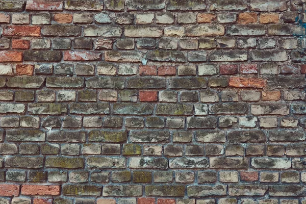 Vintage green brick wall texture background. Old brick wall texture.
